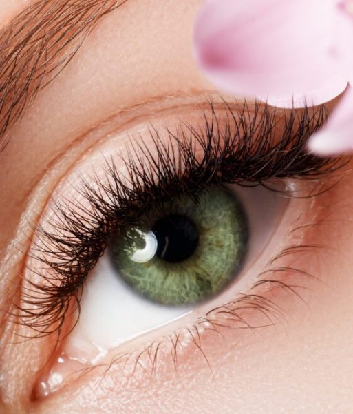 curso volume brasileiro